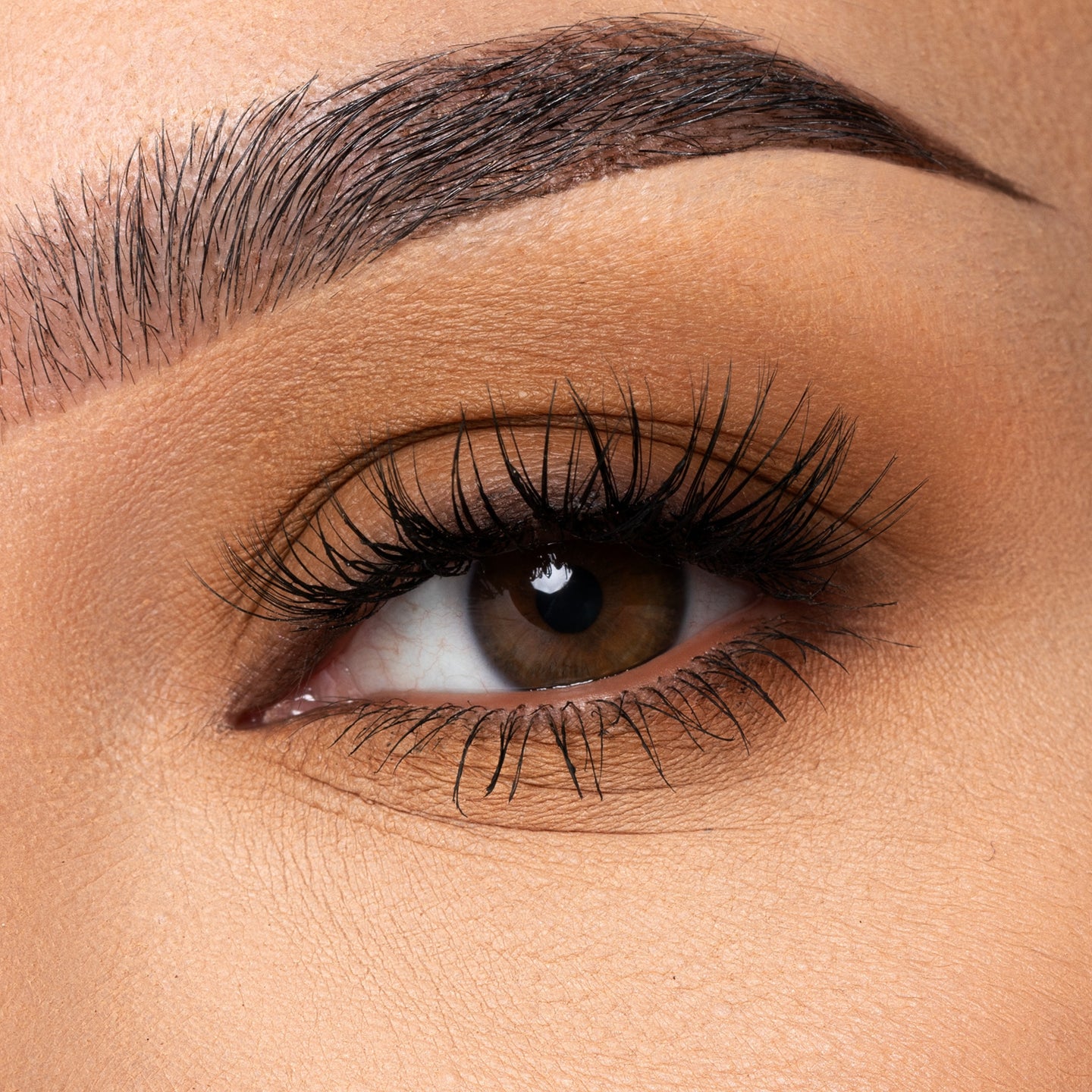 Baked Browns Il Eyeshadow Palette