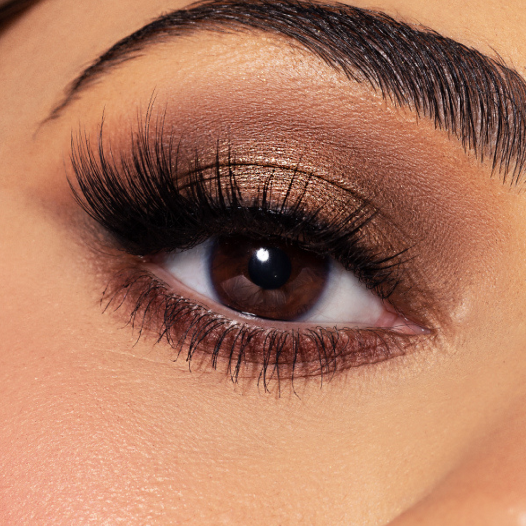 LIFE OF THE PARTY EYESHADOW LASHES VALUE SET Dose of Colors